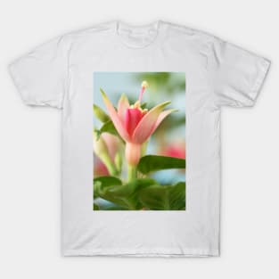 Fuchsia  'Princess Charlotte' T-Shirt